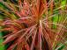 p43546_gallery_6a8cb134350281.59572946.jpg