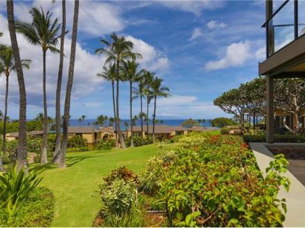 Wailea condo rental: Elua - 1BR Condo #2011