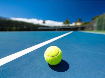 Wailea condo rental: Maui Kamaole - 1BR Condo #A110