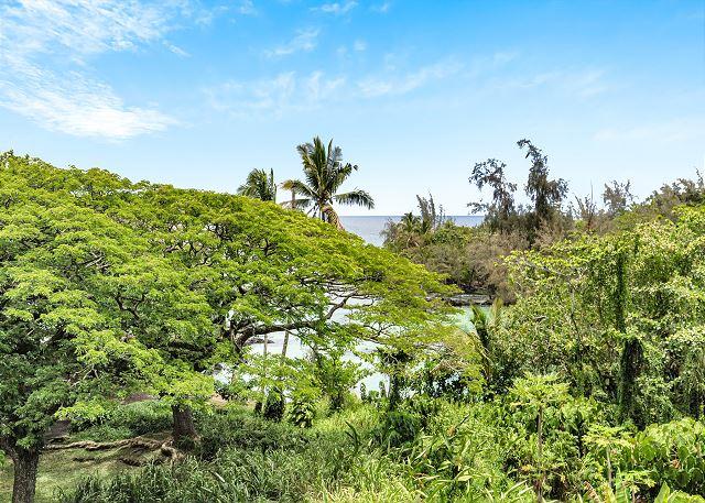 Maunaloa Shores - 1BR Condo Ocean View #405 photo 2