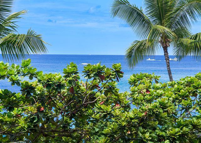 Kona Alii 206 photo 4