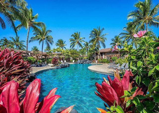 p43653_full_6a58785343c5c6.32639377.jpg