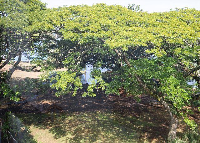 Maunaloa Shores - 2BR Condo Ocean View #403 photo 3