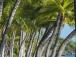 p43746_gallery_6a7d1beca2ffd7.86589847.jpg