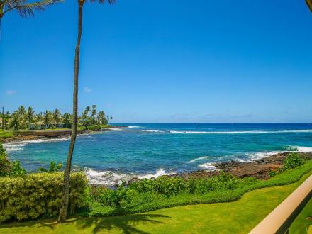 Kuhio Shores - 1BR Condo Ocean View King #202