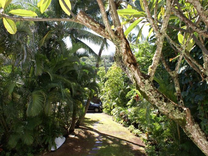 Garden Bungalow Waimea Bay - 3BR Home photo 5