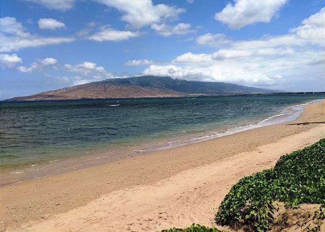 Kihei condo rental: Maui Sunset - 1BR Condo Ocean View #409A