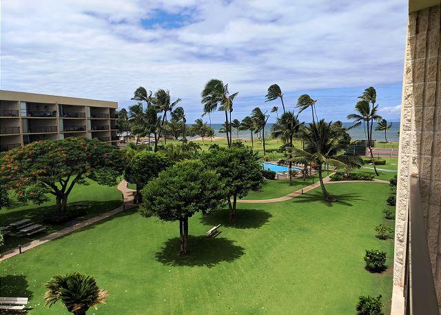Maui Sunset - 1BR Condo Ocean View #409A photo 4