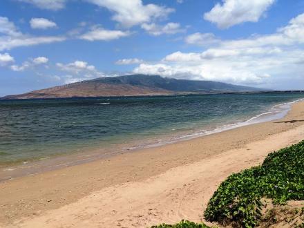 Maui Sunset - 1BR Condo Ocean View #409A