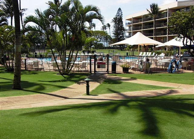 Kihei condo rental: Maui Sunset - 1BR Condo Partial Ocean View #118B