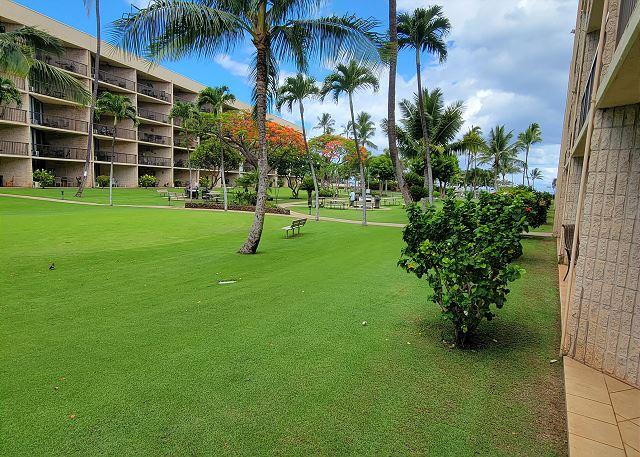 Kihei condo rental: Maui Sunset - 1BR Condo Partial Ocean View #105A