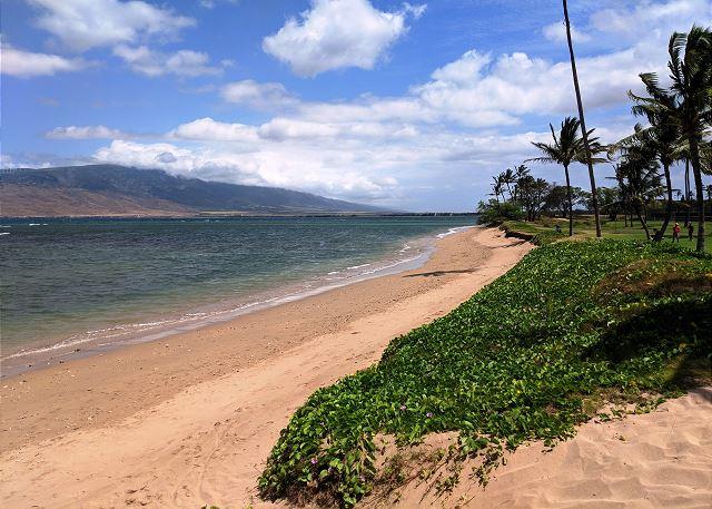 Maui Sunset - 1BR Condo Partial Ocean View #105A photo 2