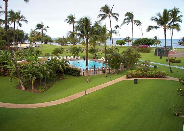 Maui Sunset - 1BR Condo Ocean View #313A photo 4