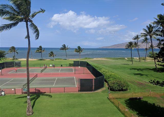 Maui Sunset - 1BR Condo Ocean View #313A photo 5