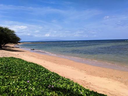 Maui Sunset - 2BR Condo Ocean View #121B
