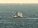 p7275_gallery_6a5ec95116e4f4.63372813.jpg