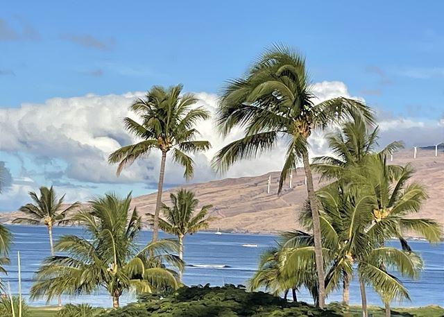 Kihei condo rental: Maui Sunset - 1BR Condo Ocean View #409B