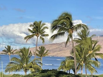 Maui Sunset - 1BR Condo Ocean View #409B