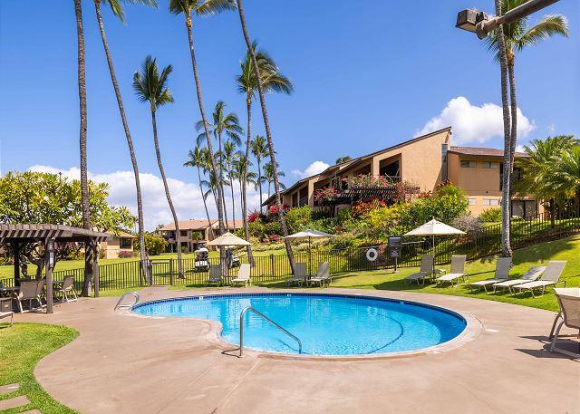 p7290_full_6a5e9642e45445.54331565.jpg